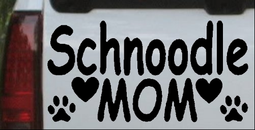 Schnoodle Mom with Dog Paw Prints