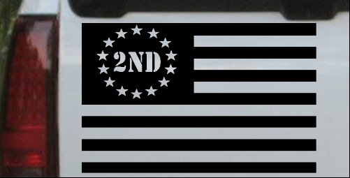 US United States Flag 2nd Amendment Pro Gun