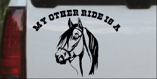 My other ride is a Horse