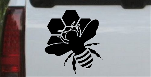 Honey Bee with Honeycomb