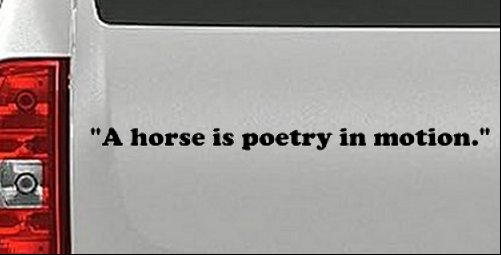A horse is poetry in motion Vinyl Car or Truck Window Decal Sticker