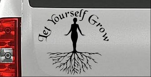 Let Yourself Grow Car or Truck Window Decal Sticker
