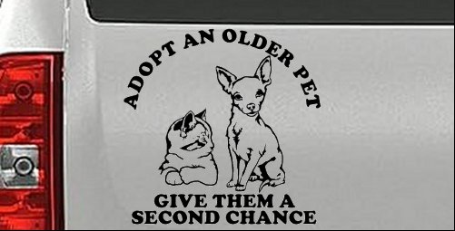 Adopt Older Pets Give Them a Second Chance Car or Truck Vinyl Window Decal Sticker