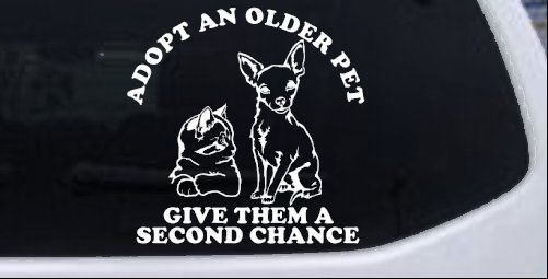 Adopt Older Pets Give Them a Second Chance Car or Truck Vinyl Window Decal Sticker