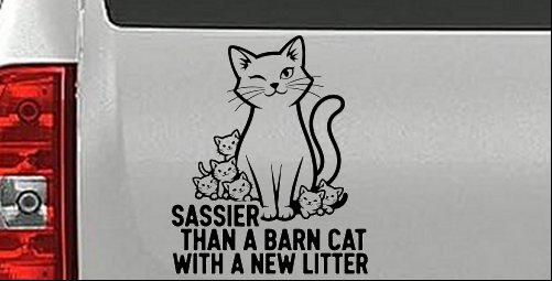 Sassier Than A Barn Cat With A New Litter Car or Truck Vinyl Window Decal Sticker