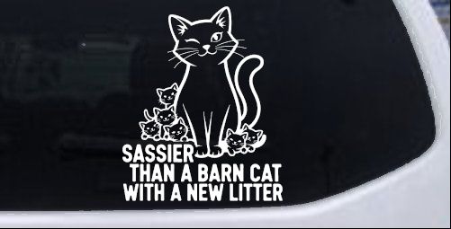 Sassier Than A Barn Cat With A New Litter Car or Truck Vinyl Window Decal Sticker