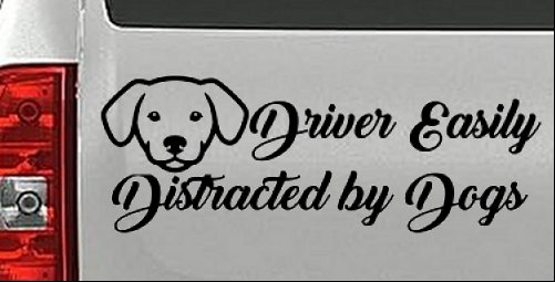 Driver Easily Distracted by Dogs Car or Truck Vinyl Window Decal Sticker