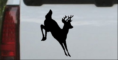 Deer shadow jumping (whole body)