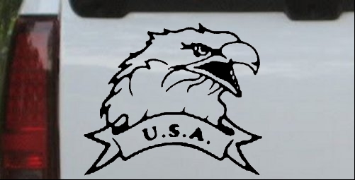 Eagle with USA banner