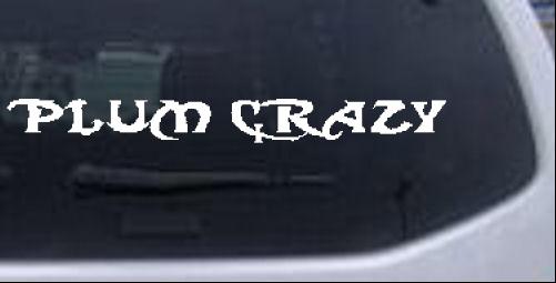 Plum Crazy Special Orders car-window-decals-stickers