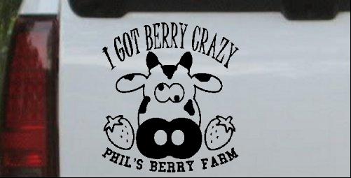 Berry Crazy At Phils Berry Farm
