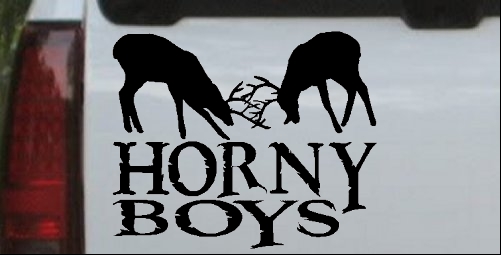 Horny Boys