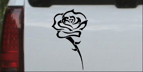 Single Open Rose