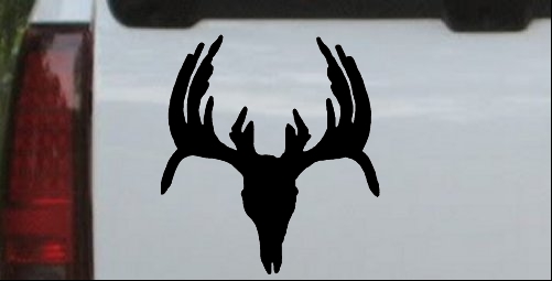 Deer Skull Mount indeginous