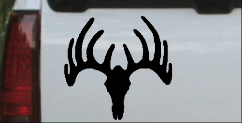 Deer Skull Mount