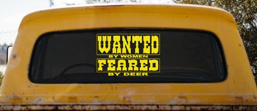 Wanted by Women Feared by Deer Funny Hunting Car or Truck Window Decal Sticker