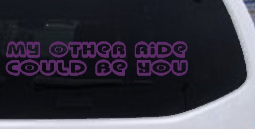 My Other Ride could Be You Car or Truck Window Decal Sticker