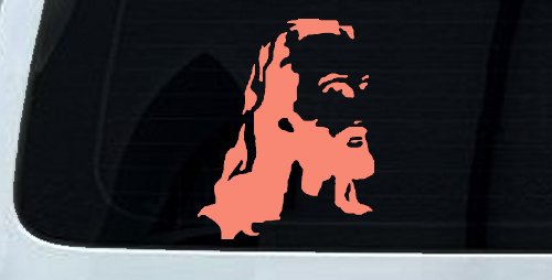 Jesus Christian Car or Truck Window Decal Sticker