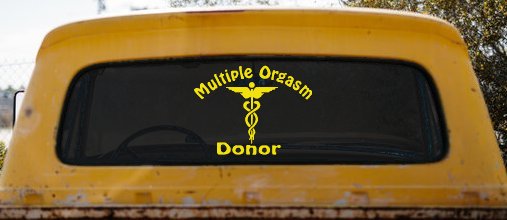 Multiple Orgasm Doner Funny Car or Truck Window Decal Sticker (Yellow)