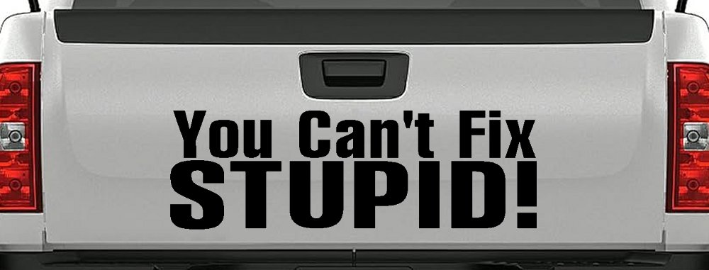 You Can't Fix Stupid Funny Car or Truck Window Decal Sticker (Black)