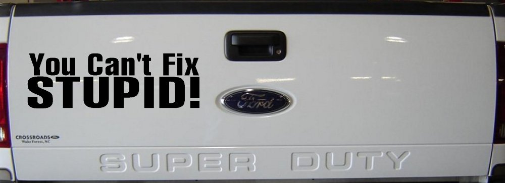 You Can't Fix Stupid Funny Car or Truck Window Decal Sticker