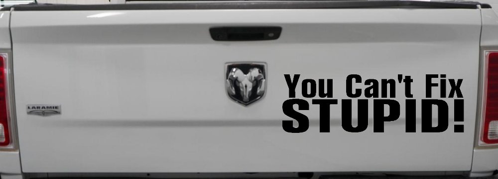 You Can't Fix Stupid Funny Car or Truck Window Decal Sticker (Black)