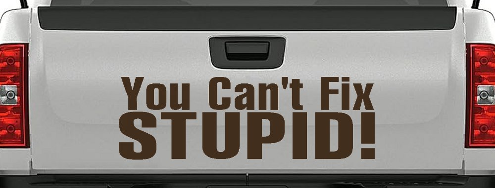 You Can't Fix Stupid Funny Car or Truck Window Decal Sticker