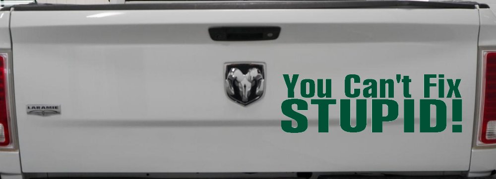 You Can't Fix Stupid Funny Car or Truck Window Decal Sticker (Dark Green)