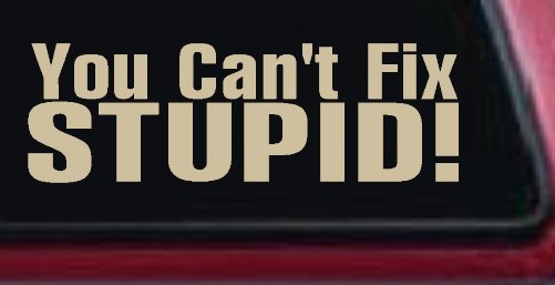 You Can't Fix Stupid Funny Car or Truck Window Decal Sticker (Desert Sand)