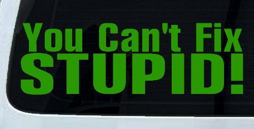 You Can't Fix Stupid Funny Car or Truck Window Decal Sticker