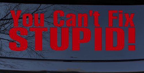 You Can't Fix Stupid Funny Car or Truck Window Decal Sticker (Red)