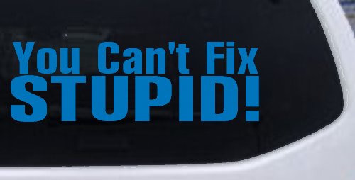 You Can't Fix Stupid Funny Car or Truck Window Decal Sticker (Sky Blue)