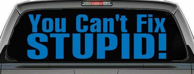 You Can't Fix Stupid Funny Car or Truck Window Decal Sticker
