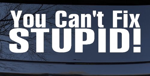 You Can't Fix Stupid Funny Car or Truck Window Decal Sticker