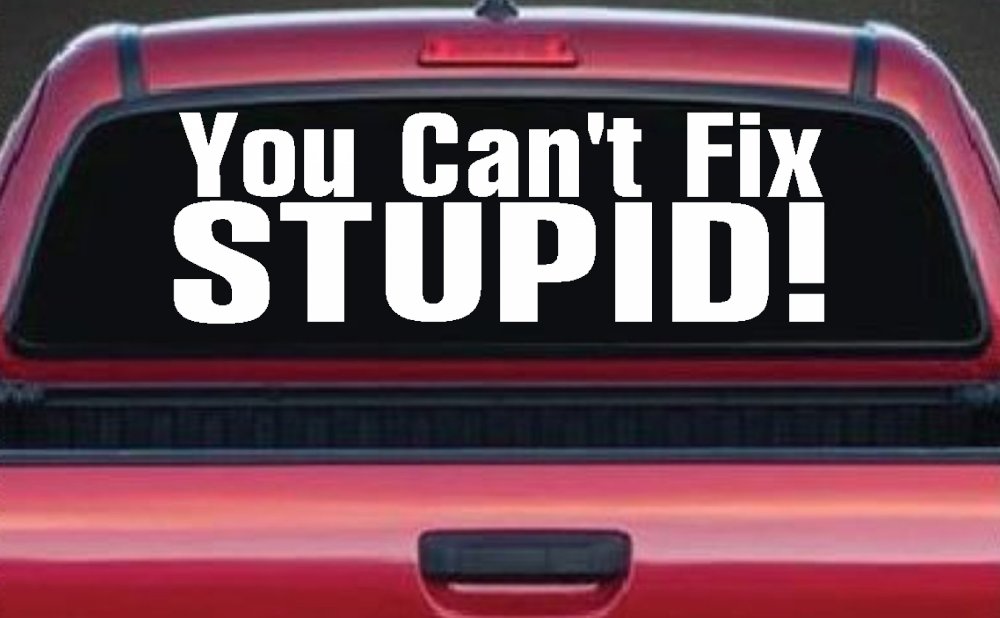 You Can't Fix Stupid Funny Car or Truck Window Decal Sticker