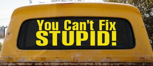 You Can't Fix Stupid Funny Car or Truck Window Decal Sticker