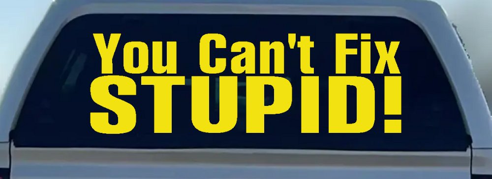 You Can't Fix Stupid Funny Car or Truck Window Decal Sticker