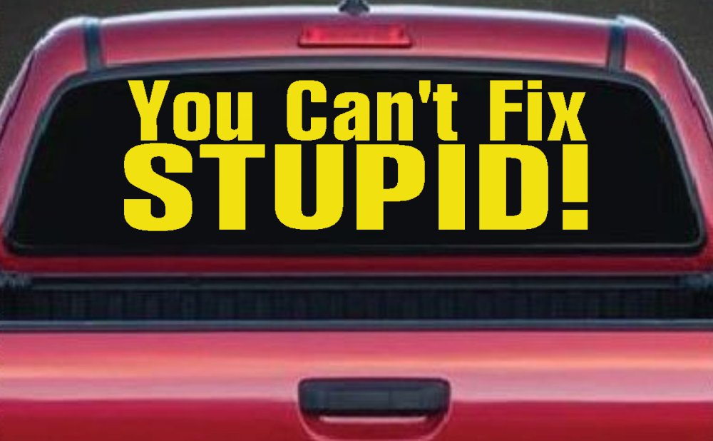 You Can't Fix Stupid Funny Car or Truck Window Decal Sticker