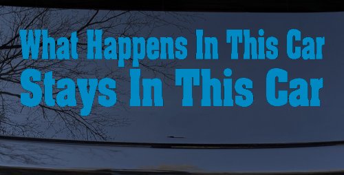 What Happens in This car Stays in This Car Funny Car or Truck Window Decal Sticker