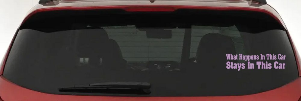 What Happens in This car Stays in This Car Funny Car or Truck Window Decal Sticker