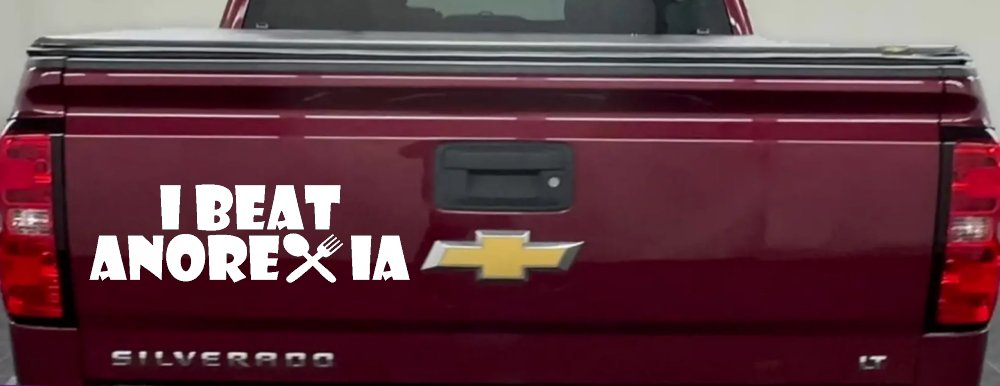I Beat Anorexia Funny Car or Truck Window Decal Sticker (White)