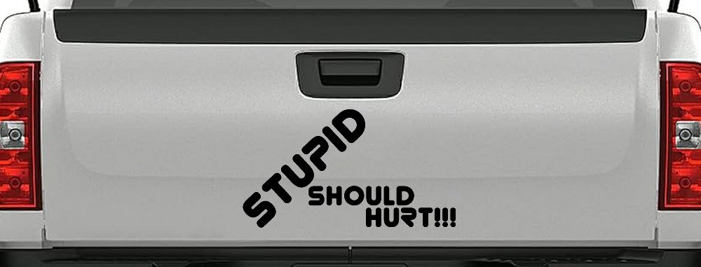 Stupid Should Hurt Funny Car or Truck Window Decal Sticker (Black)