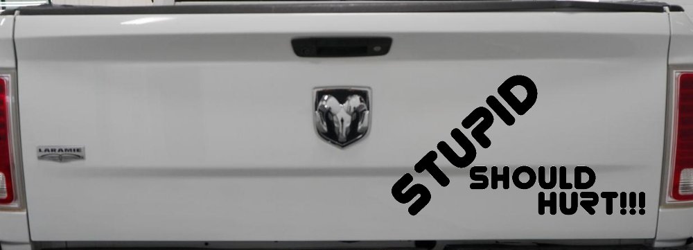 Stupid Should Hurt Funny Car or Truck Window Decal Sticker (Black)