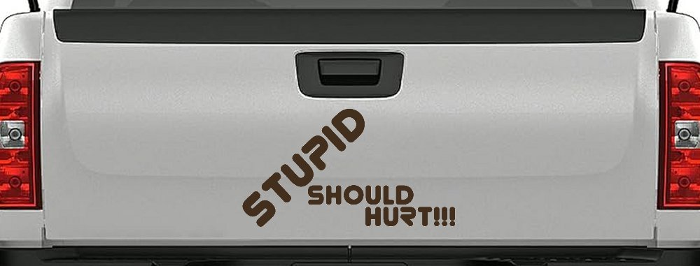 Stupid Should Hurt Funny Car or Truck Window Decal Sticker (Brown)
