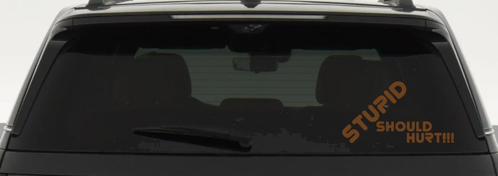 Stupid Should Hurt Funny Car or Truck Window Decal Sticker (Copper)