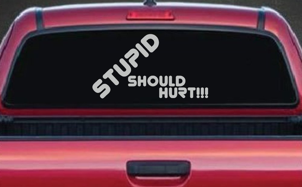 Stupid Should Hurt Funny Decal - Car Truck Window Vinyl Sticker (Light Gray)