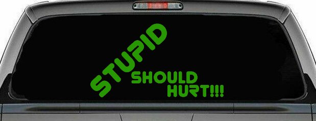 Stupid Should Hurt Funny Decal - Car Truck Window Vinyl Sticker (Lime)