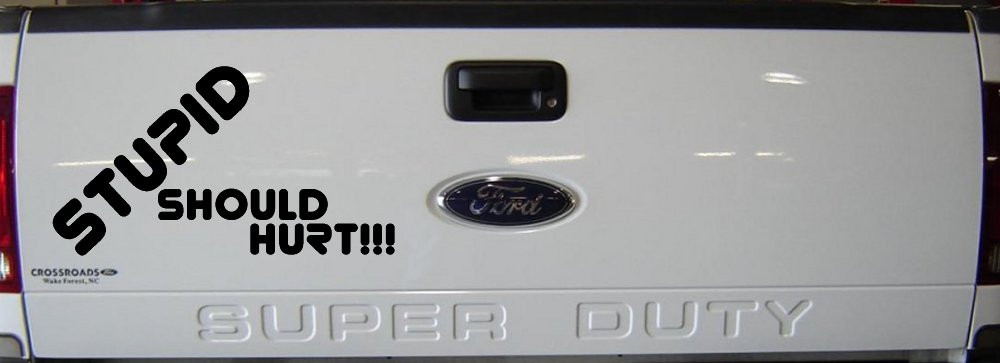 Stupid Should Hurt Funny Car or Truck Window Decal Sticker (Matte Black)