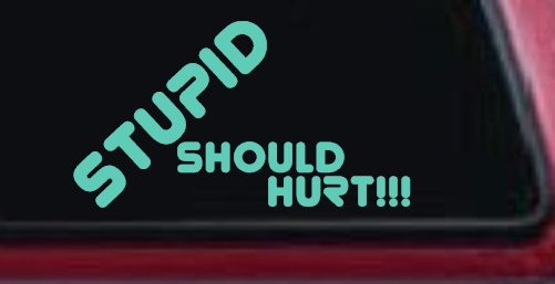 Stupid Should Hurt Funny Car or Truck Window Decal Sticker (Mint)