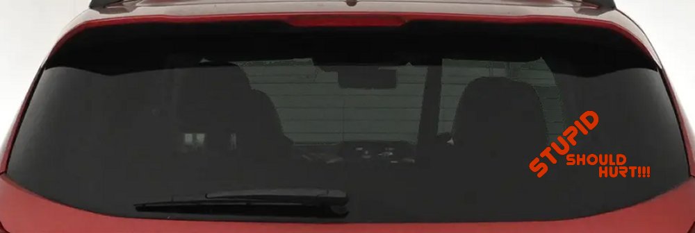 Stupid Should Hurt Funny Car or Truck Window Decal Sticker (Orange Red)